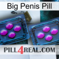 Big Penis Pill 03